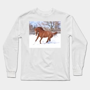 Verrazano filly Long Sleeve T-Shirt